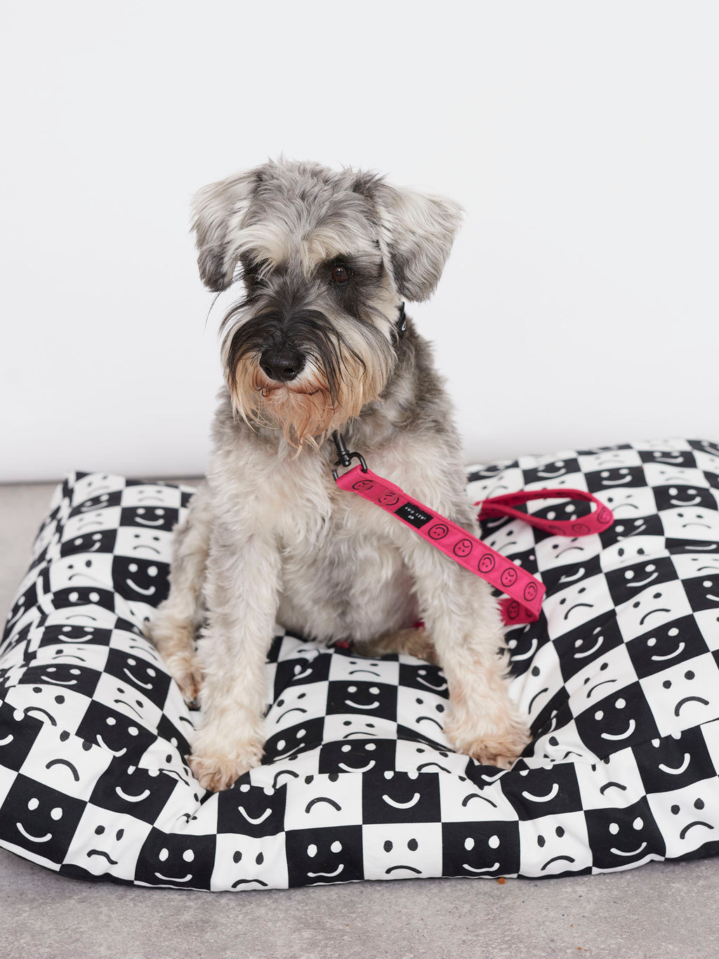 Lazy Oaf Happy Sad Pink Dog Lead