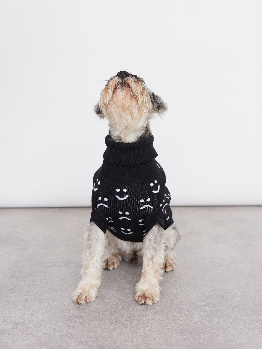 Lazy Oaf Knitted Dog Jumper