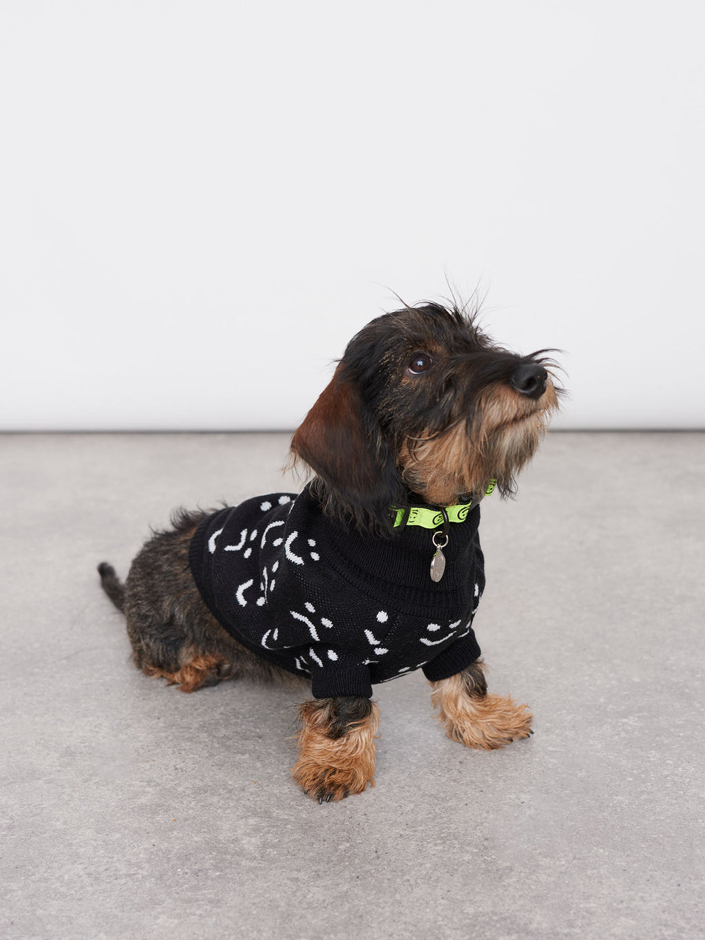 Lazy Oaf Knitted Dog Jumper