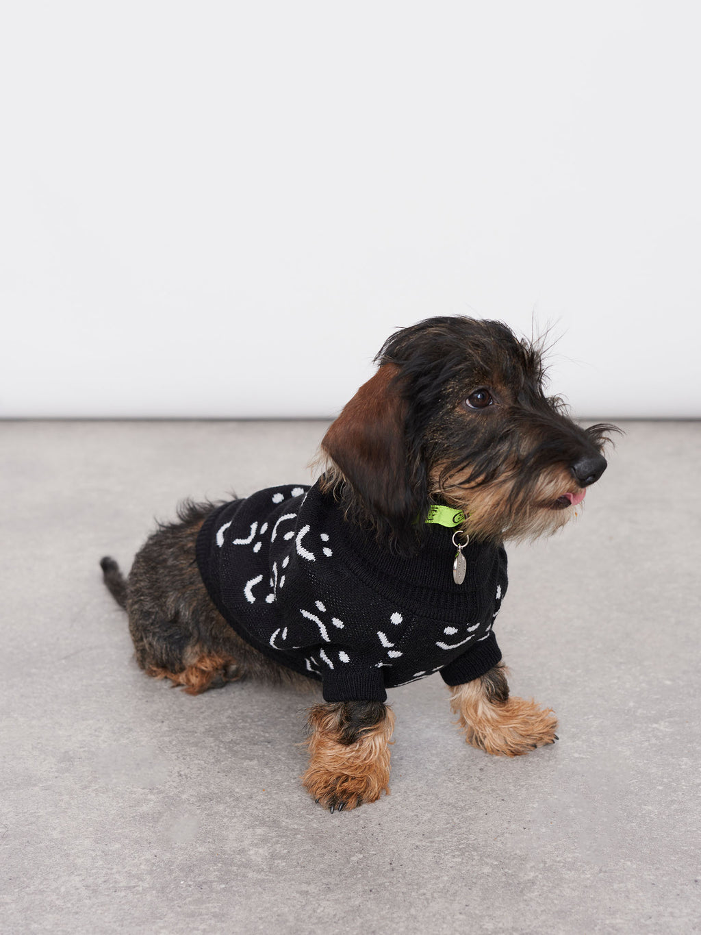 Lazy Oaf Knitted Dog Jumper