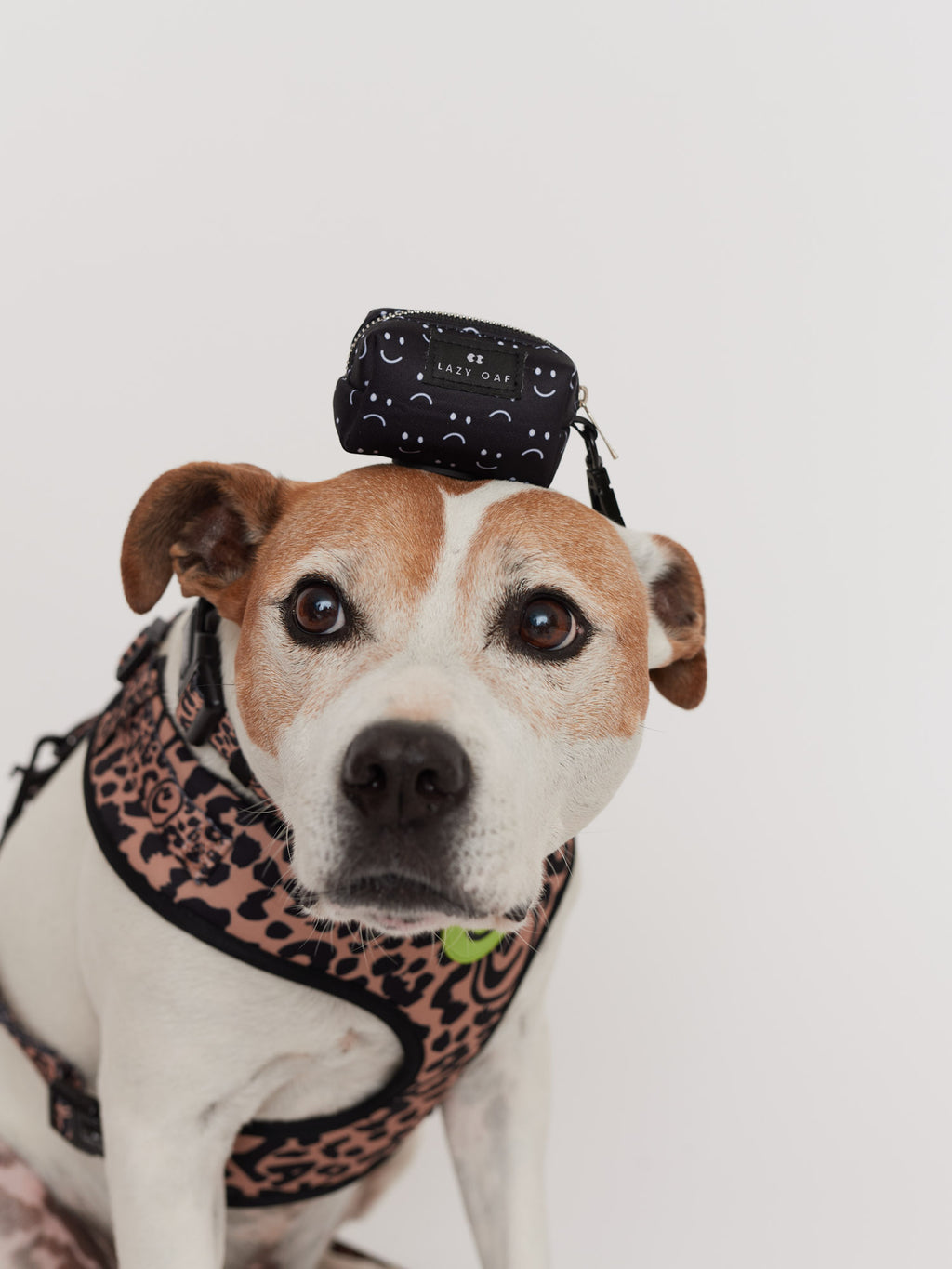 Happy Sad Doggy Poop Bag