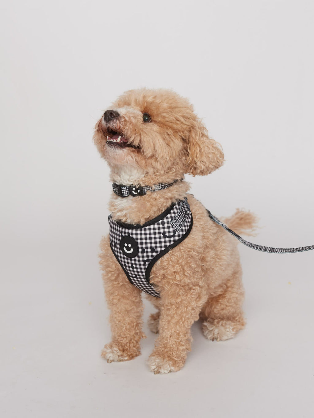 Happy Sad Gingham Dog Collar