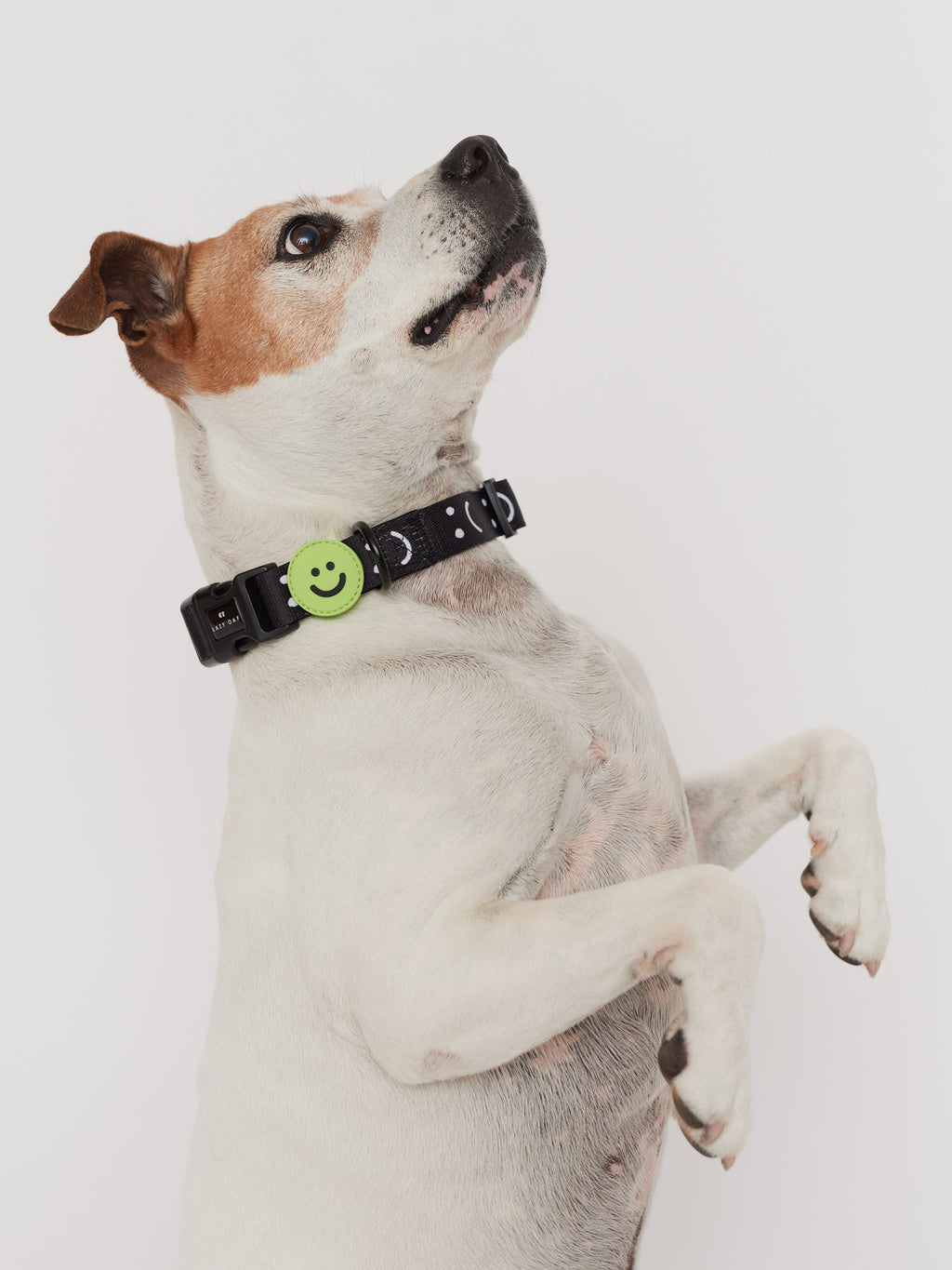Happy Sad Dog Collar