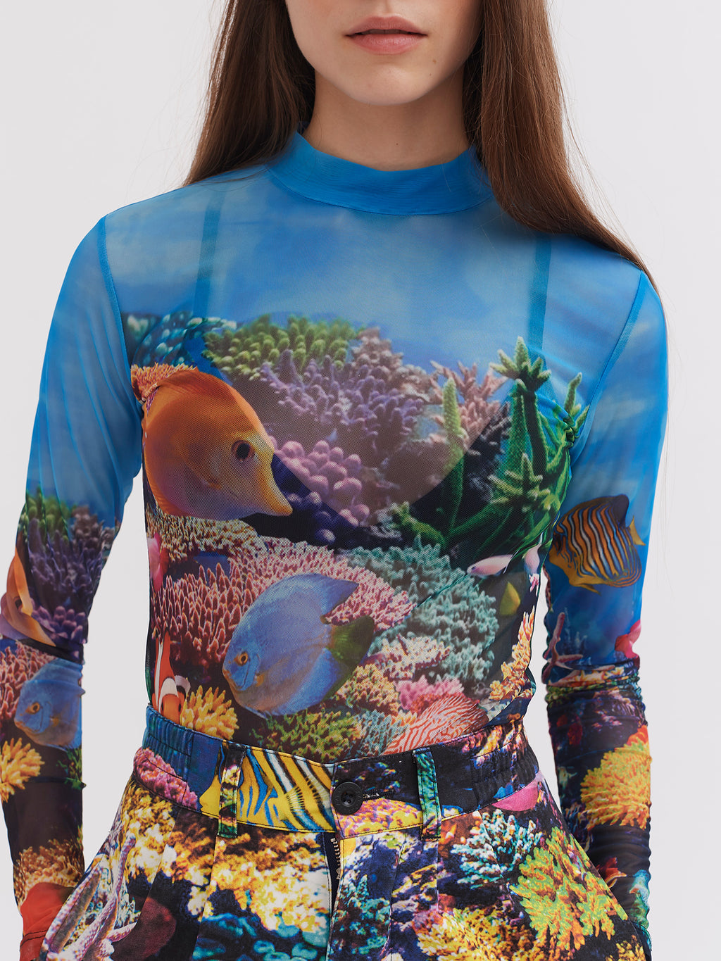 Fish Tank Mesh Top